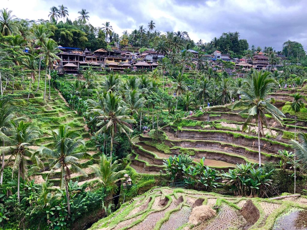 Ubud top 5 places in Bali