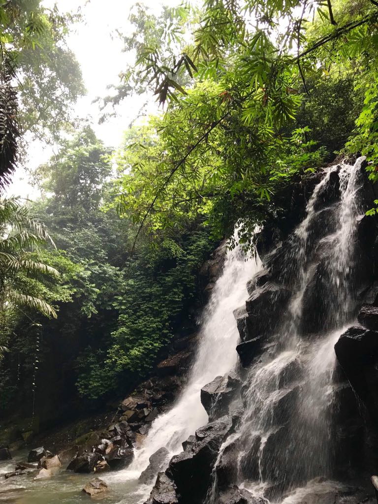 Waterfall Bali