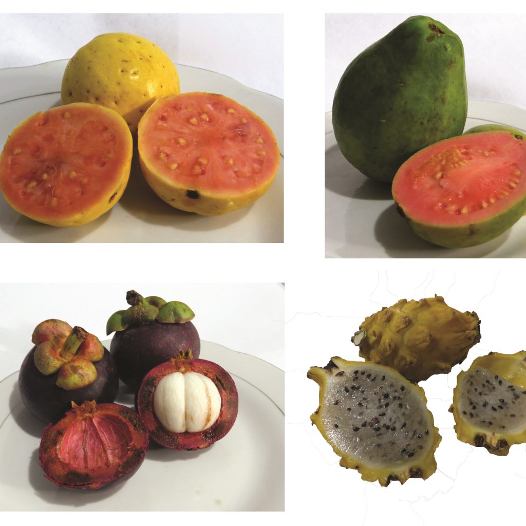 Fruits to eat in Colombia