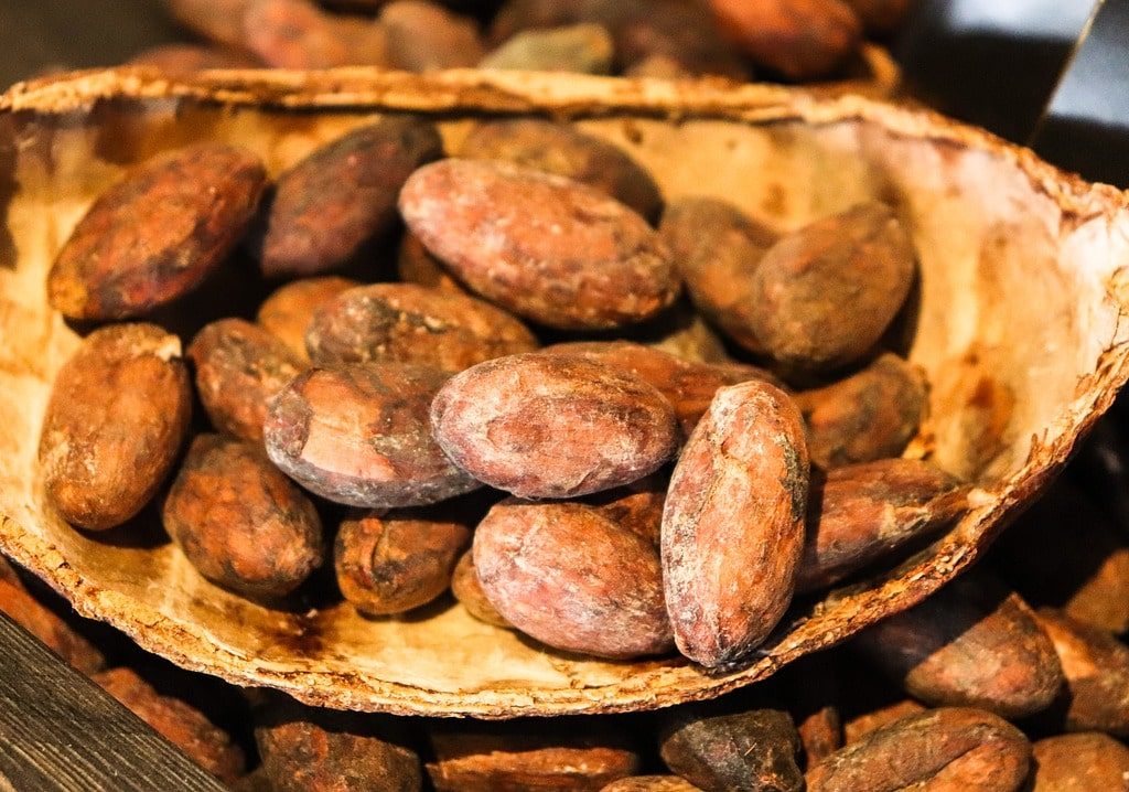 vegan cacao seeds